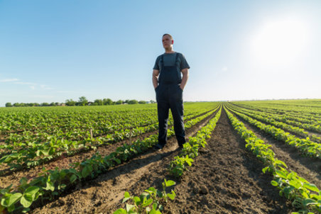 Exploitant agricole dans son champ